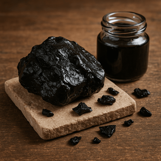 Le Shilajit et ses principes bioactifs