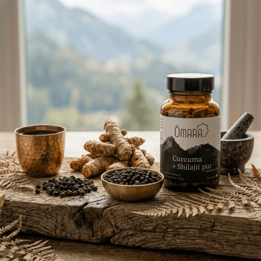 Flacon de capsules de Curcuma + Shilajit pur + poivre noir