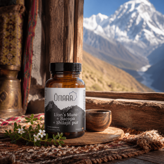 Gélule de lion's mane, bacopa et shilajit pur vendu en suisse