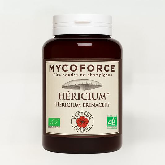 Bocal d'un champignon médicinal appelé Hericiium 