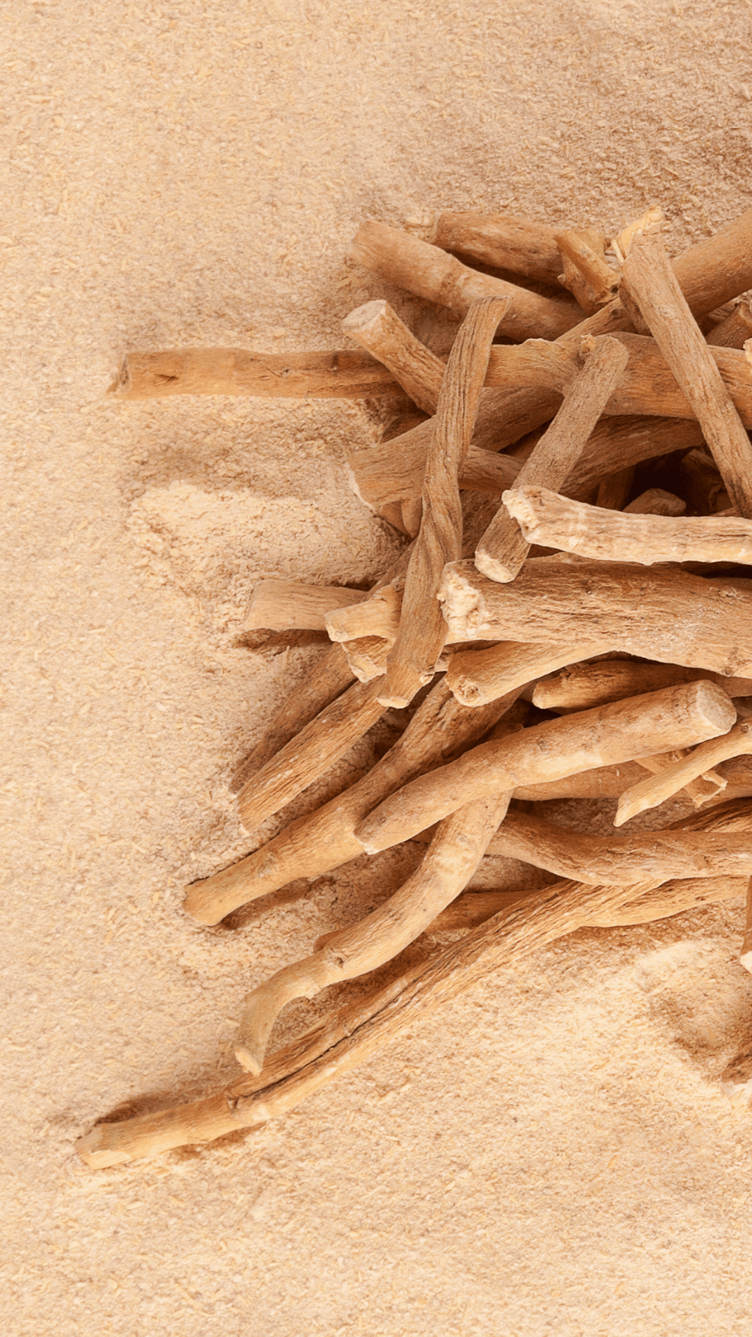 racine d'ashwagandha 