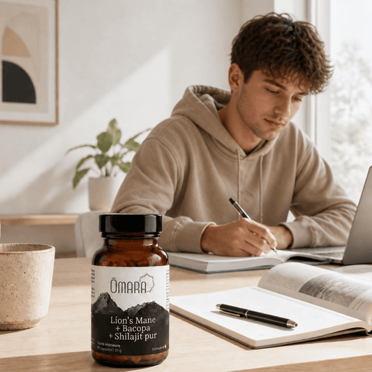 Homme qui révise en ayant pris shilajit bacopa et lion's mane en gélule pour la concentration
