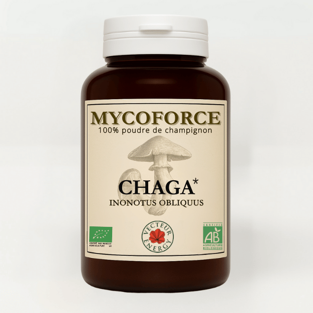 Chaga Bio Champignon "Le Diamant de la Forêt" - Omara