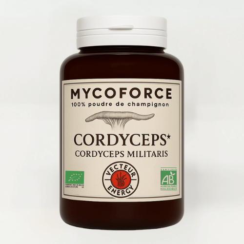 Bocal de Champignons médicinal cordyceps