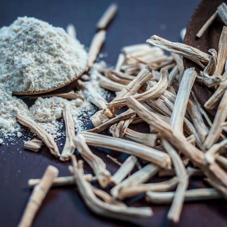 Racine de shatavari réduit en poudre pour capsule Ômara